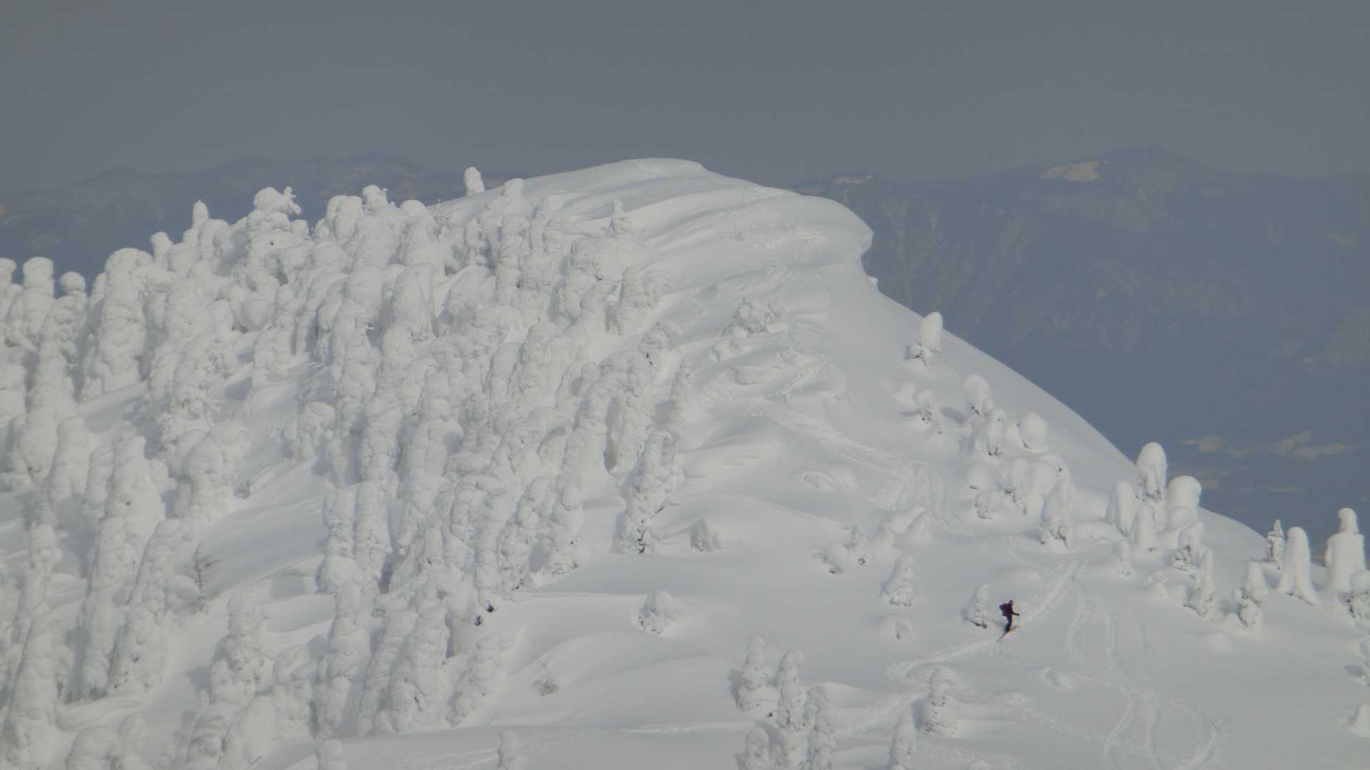 一ノ腰先端の雪庇は危険危険😱