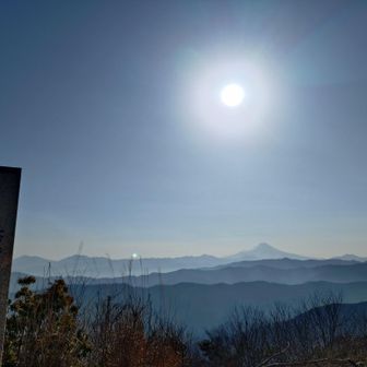 日差しが暖か🌞