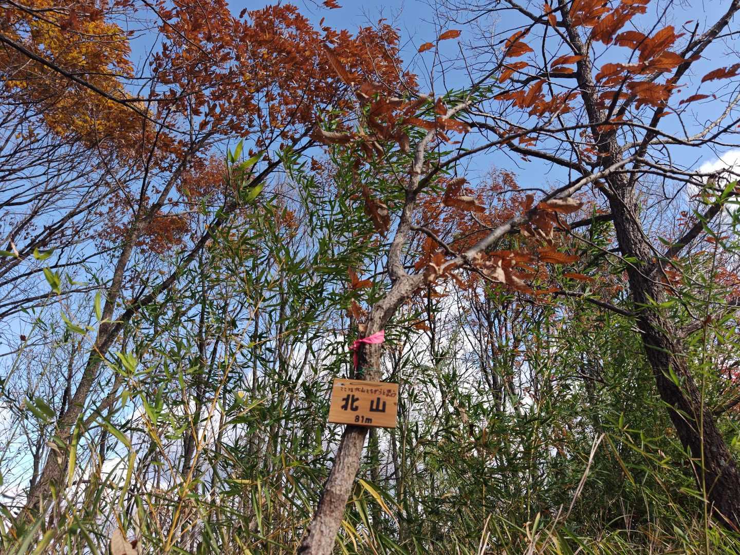 日笠山-一本松山-イタチ山 往復コースの写真