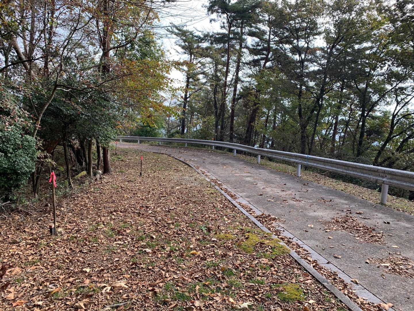 一旦　舗装路に出て、