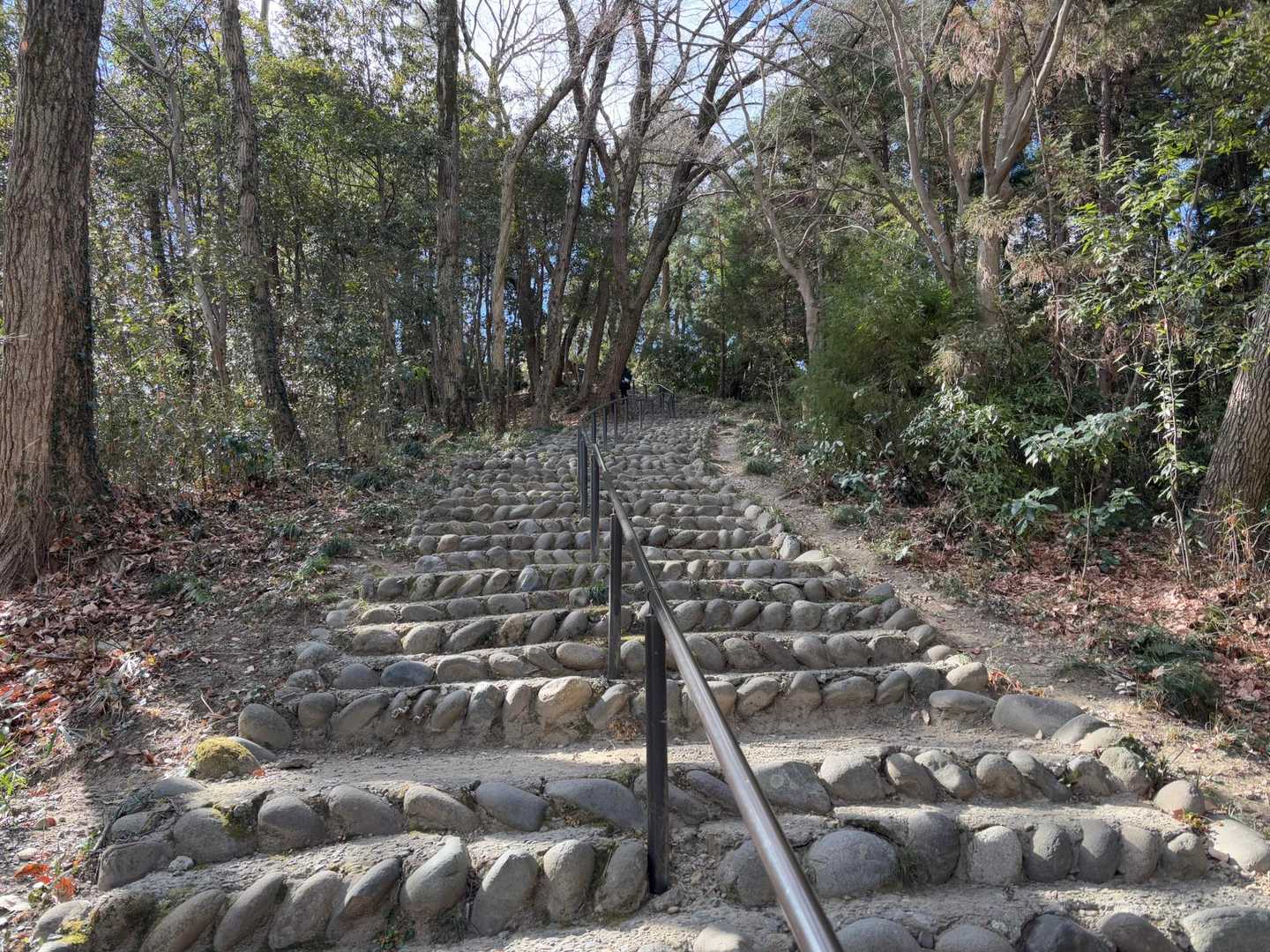 長い階段。なかなかです💦