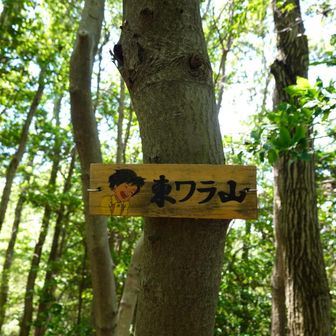 東ワラ山です。サツキの笑顔