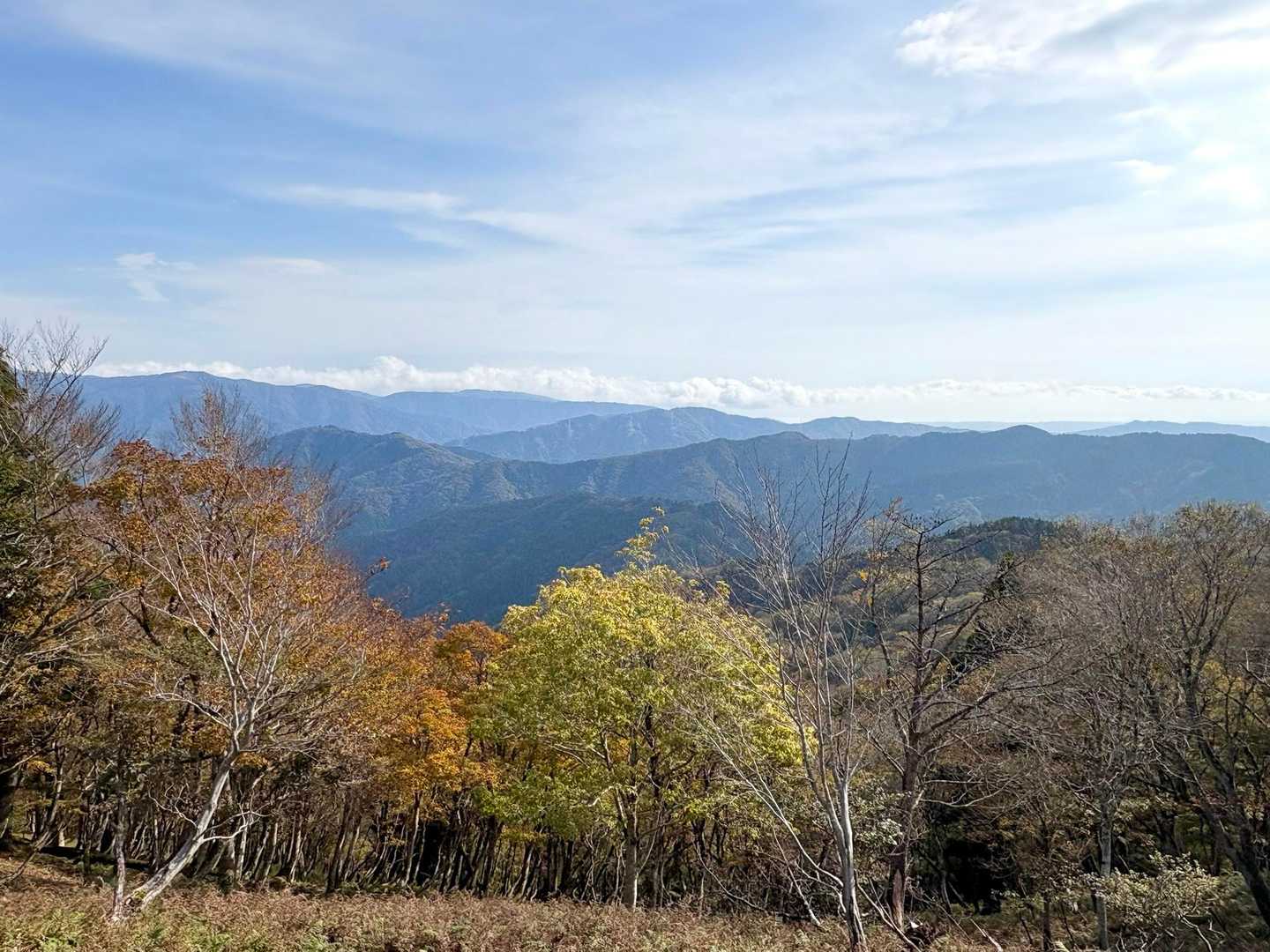 山頂付近からの景色
箱館山もクッキリと望めました⛰️