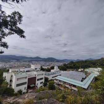 あっちから来たなあ…