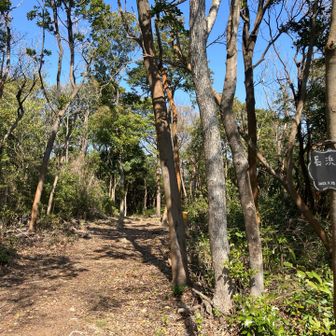 ③長浜山（62m） 眺望無し 頂きです⛰️