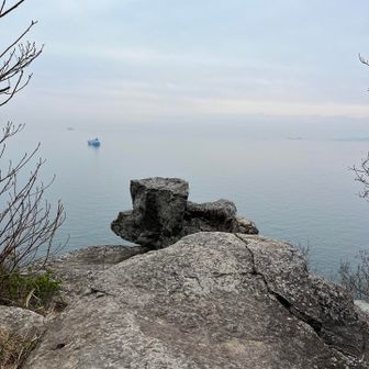 ここ　ここ〜‼️