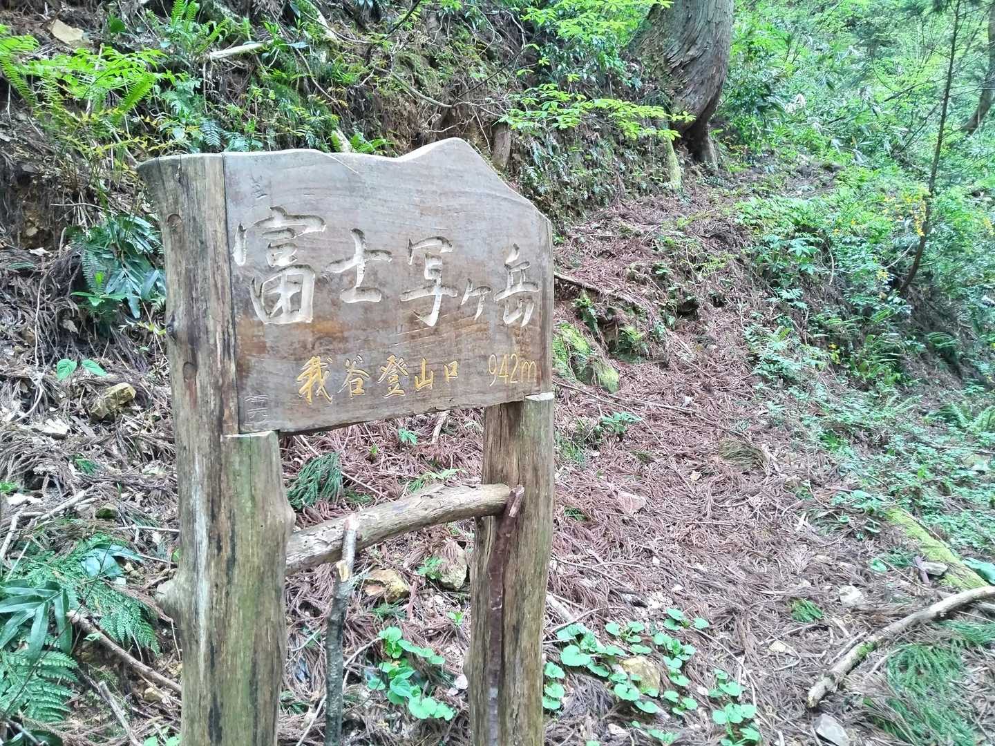 我谷登山口-小リス平-富士写ヶ岳 往復コースの写真