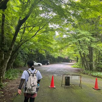 今日はホントにお手軽だった☺️👍