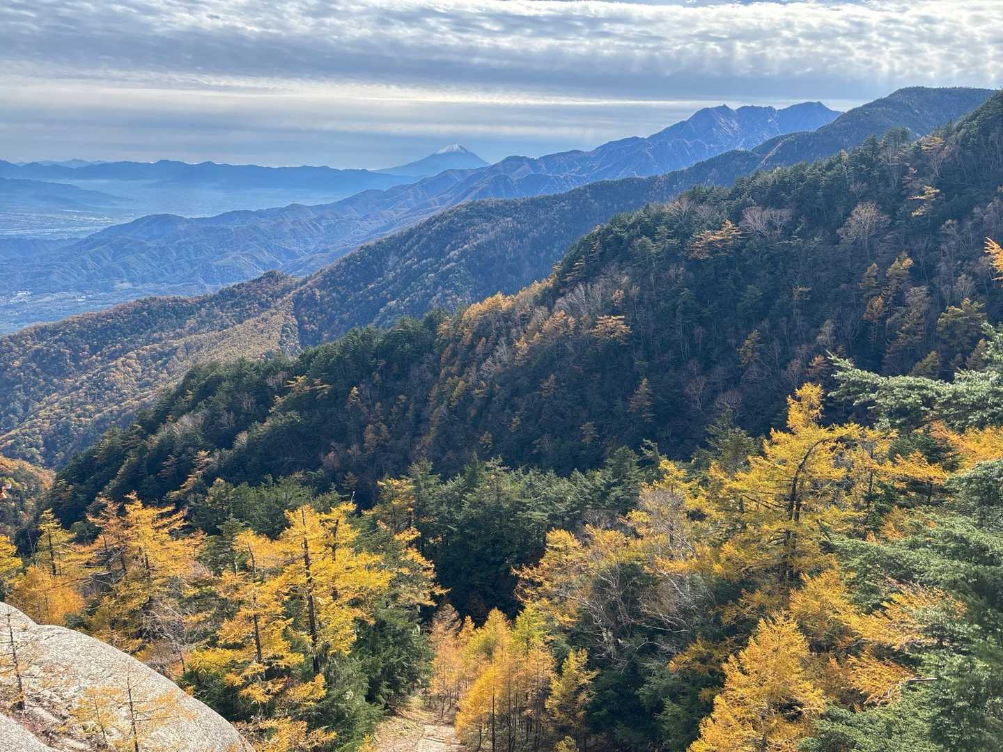 尾白川渓谷-矢立石登山口-日向山-鞍掛山 往復コースの写真