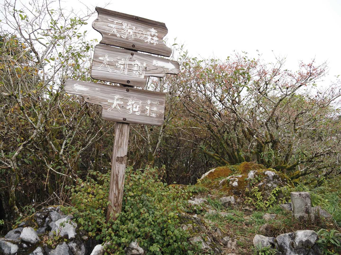 サクッと天狗ノ森に到着です！😃✌️