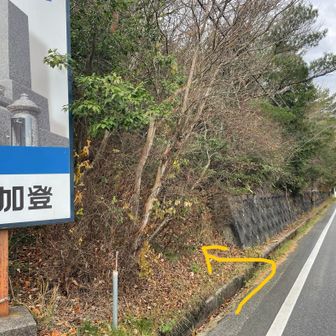 ココが白水峡への取り付き
分かりにくいけど看板🪧の横にピンテを巻いた木がある🌲