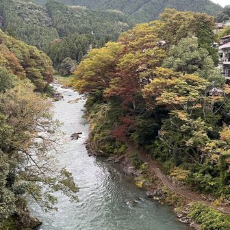 今日の御岳渓谷✨この時間は曇り☁️