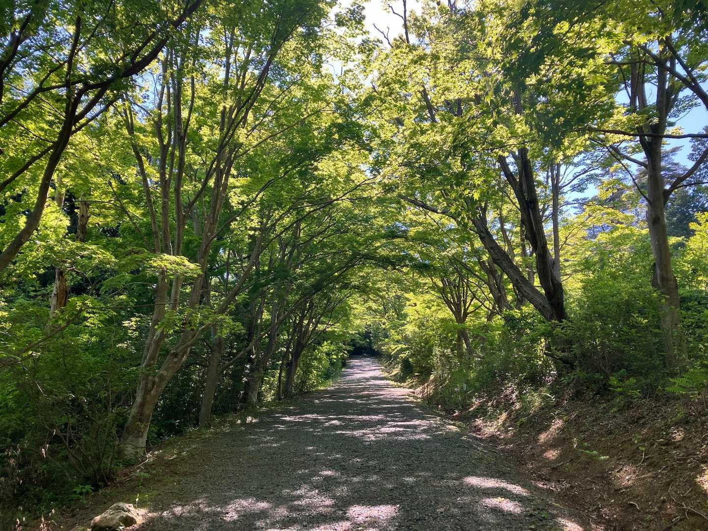小木津山 往復コースの写真