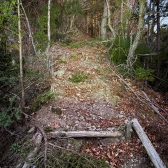 登山道は整備されててとっても歩きやすいです♪ ありがとうございます😭