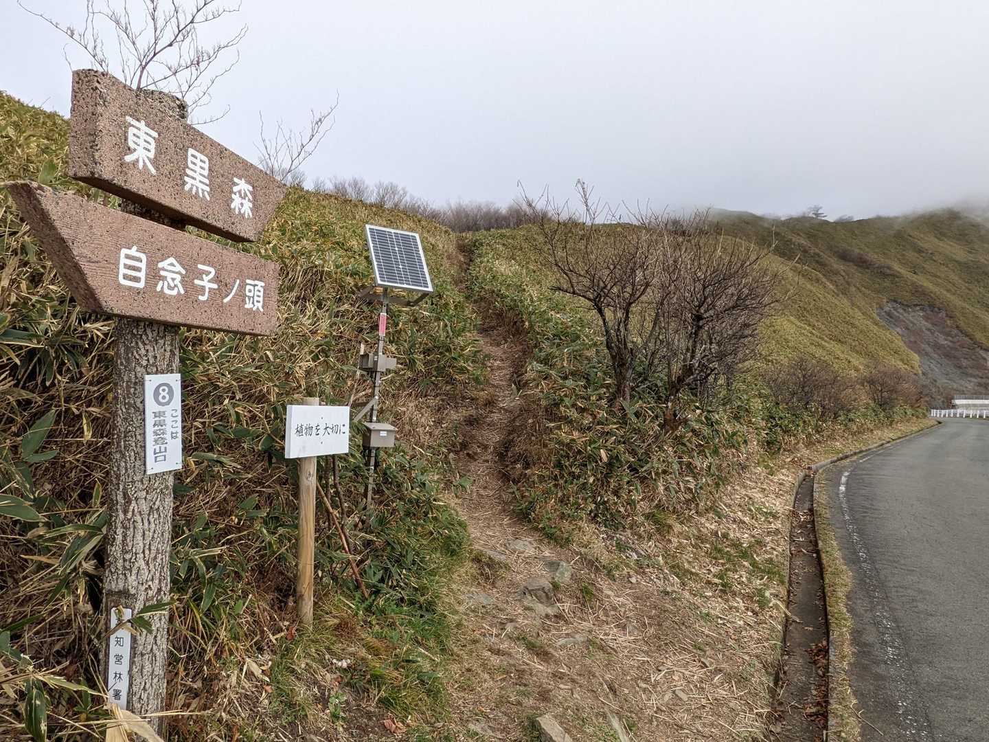 東黒森 往復コースの写真