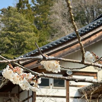 射水神社からスタート
