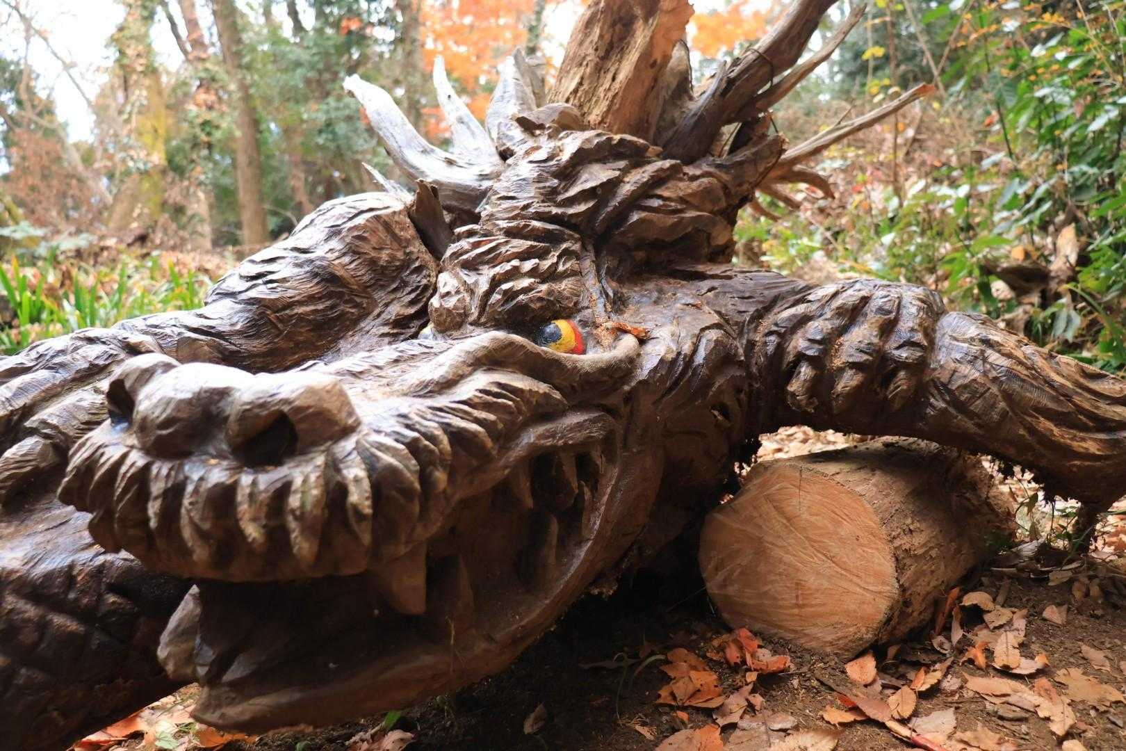 高尾山口-草戸山-榎窪山 往復コースの写真