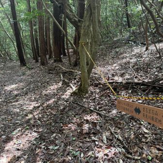 高速トンネル登山口へ