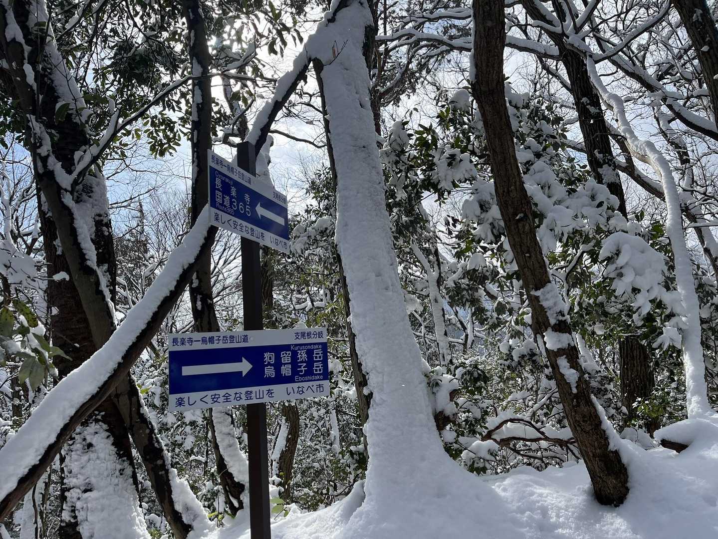 新設された案内看板🪧