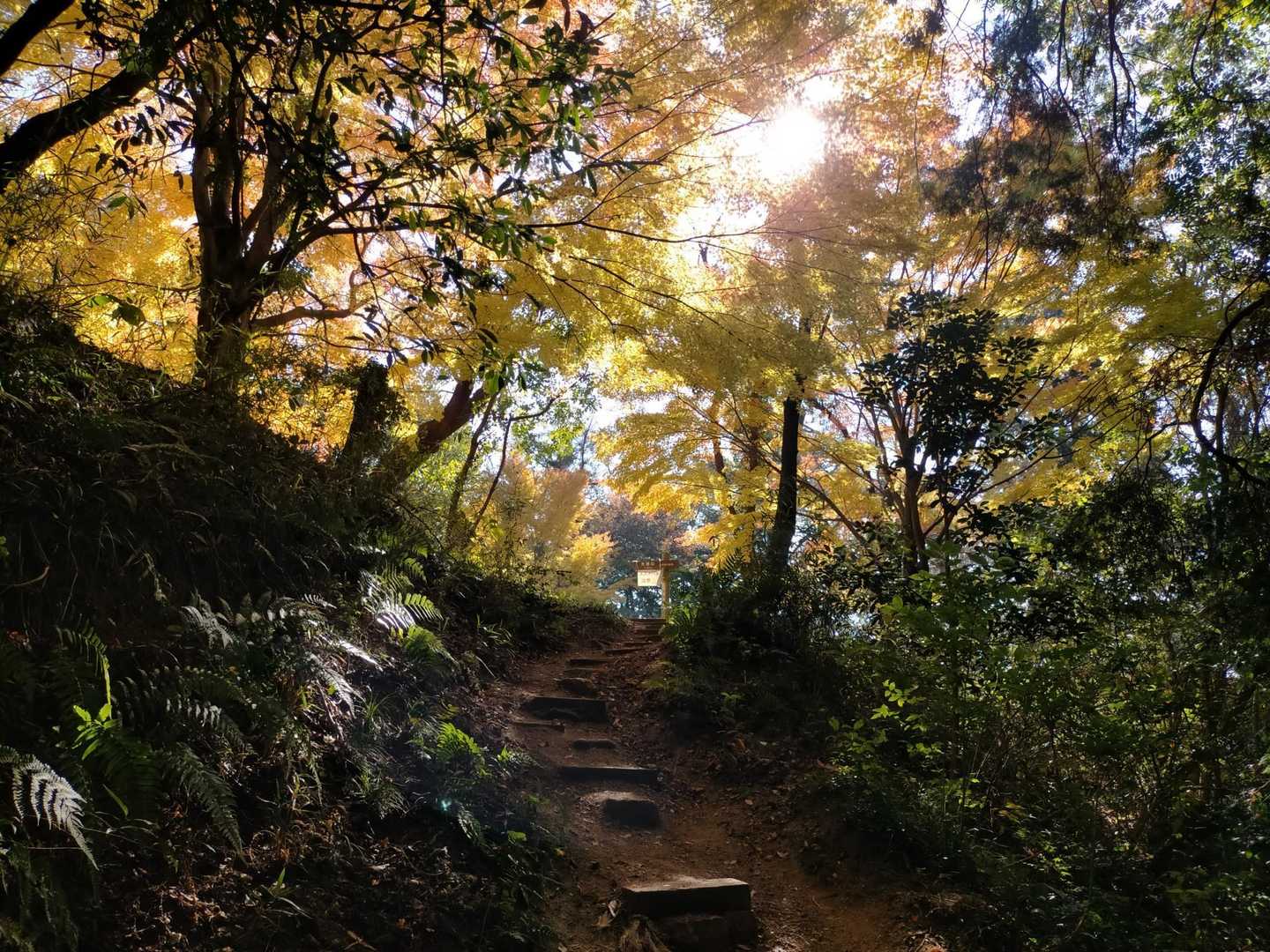 太宰府の史跡を一望！観世音寺と岩屋山の写真