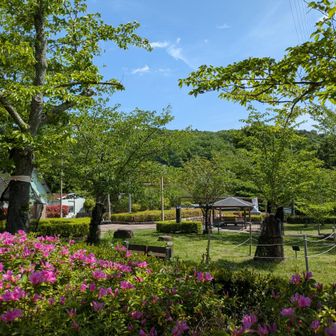桜公園も花が終わり🌿新緑に
