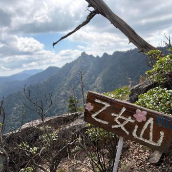 せっかくなので周回路を外れて乙女山へピークハントの寄り道
すれ違った方が軽装で来られてたのを見て、自分もお姫山に荷物をデポしてくればよかったと後悔しました
しかし、この山域に似合わない名前の山名が続きます