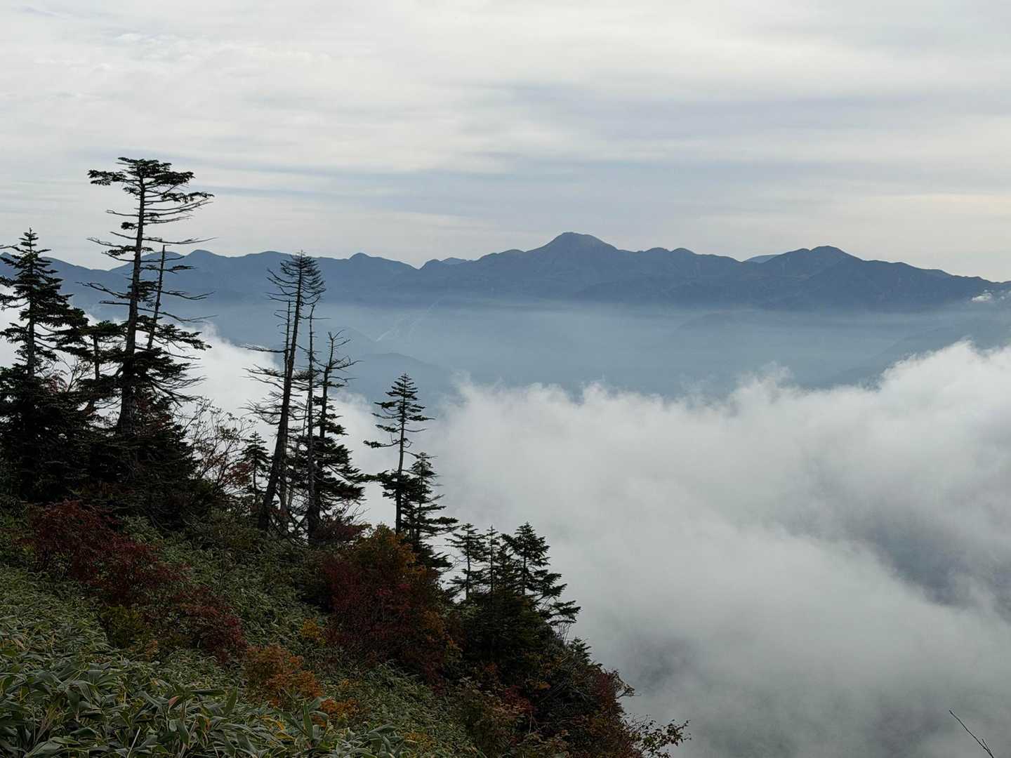 燧ヶ岳の左方向に至仏山も見えるのだそう