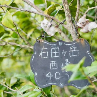 ……と思ったが

今度はアントキノ岩で


またまたまったり😆


