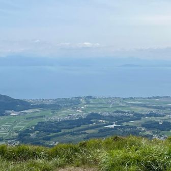 メタセコイア並木と琵琶湖。