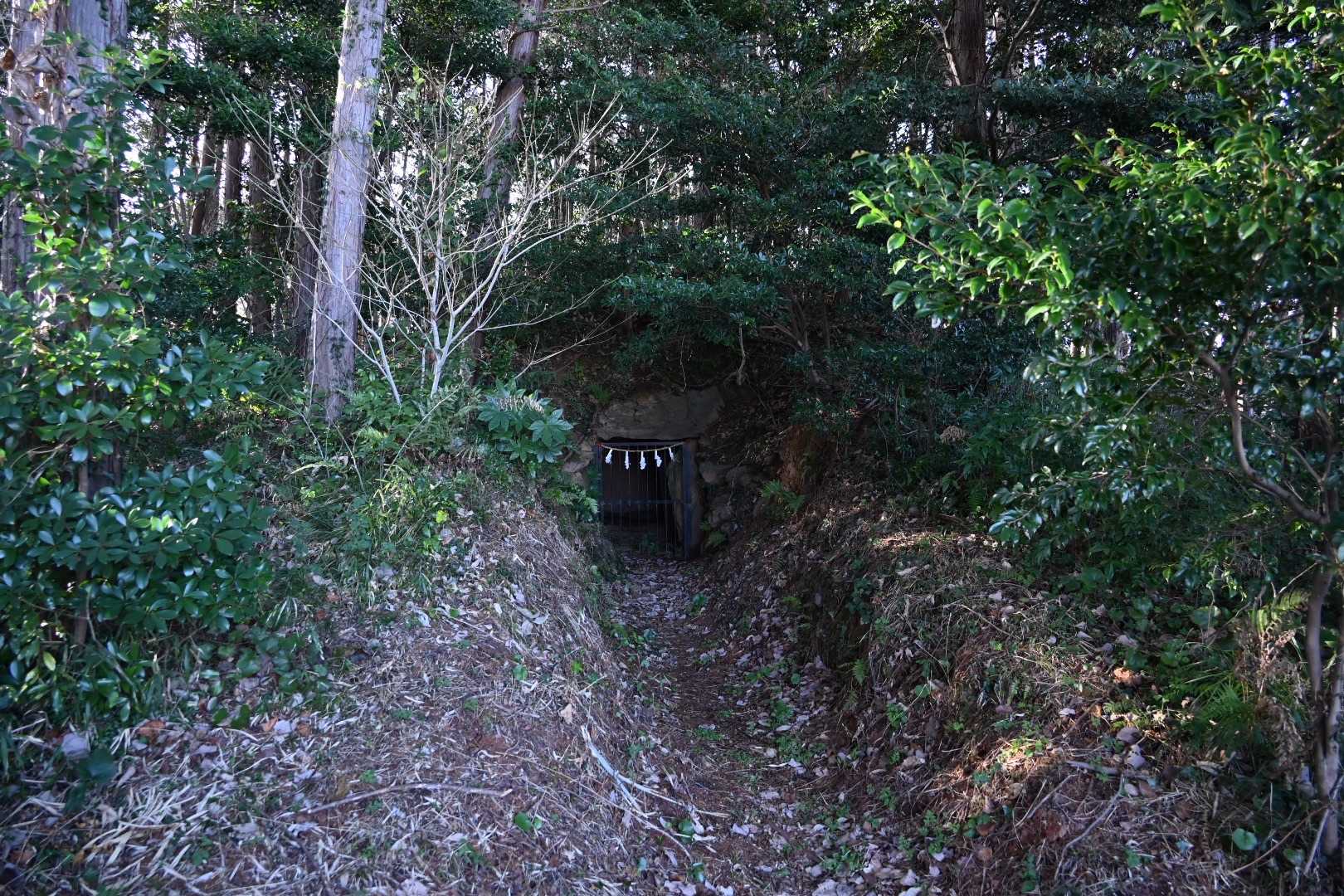 そしてここにも古墳が🤣
恩塚古墳です。

まずは恩塚山いただきましたー
⛰⛰⛰⛰⛰⛰⛰⛰⛰⛰⛰⛰⛰

これで今日の全てのピークを踏み終えました🤗