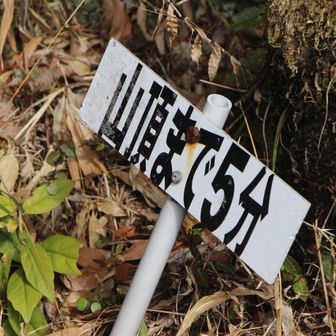 私には時間が10
分かかる