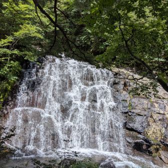 八幡滝
細いトラバース、滑りやすい鎖場、膝近くまで浸かる渡渉を繰り返す。くろがね小屋から先、塩沢登山口への下山は野趣に溢れる。初心者絶対不可。