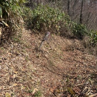 左が気になる🤭