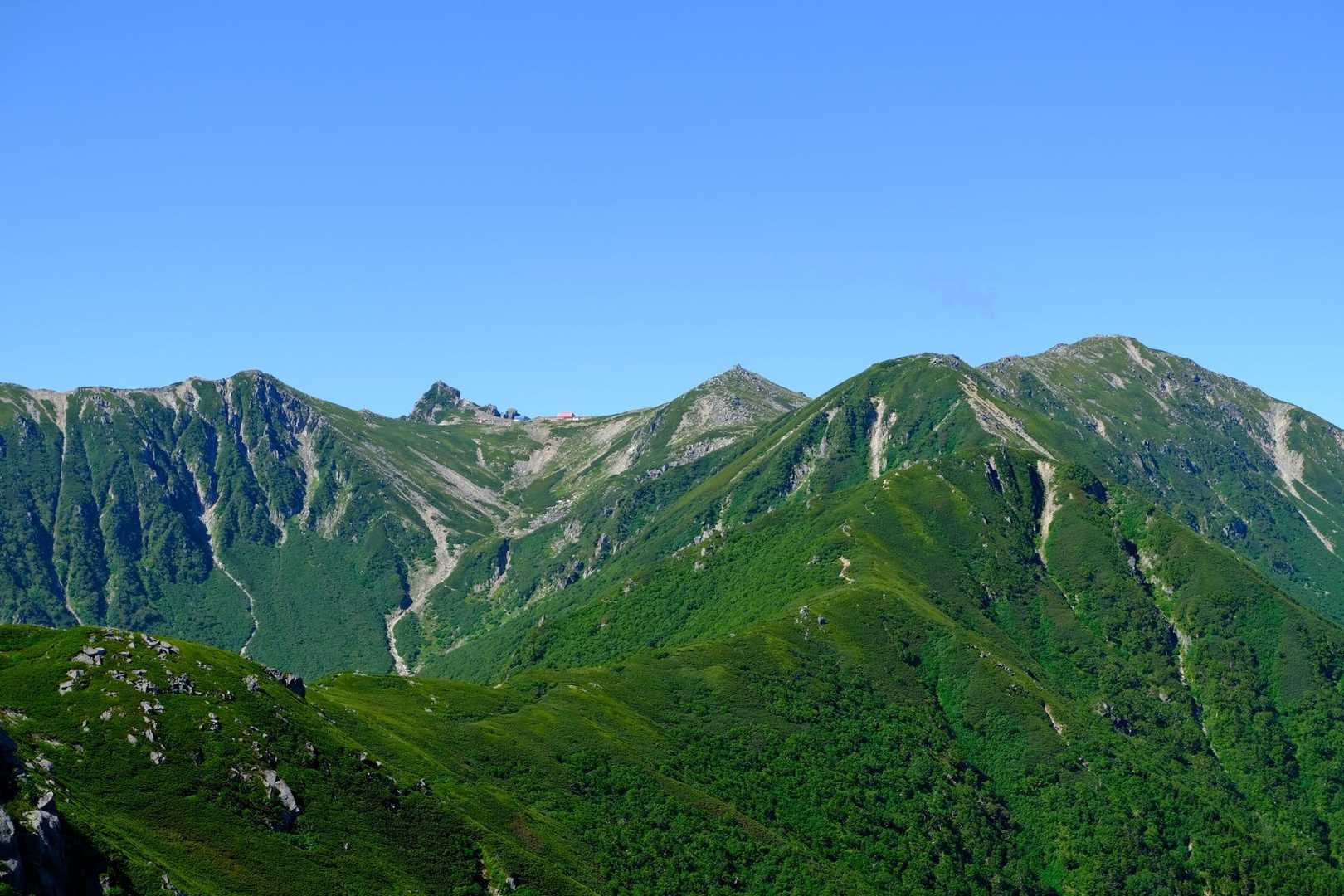 桂小場登山口-将棊頭山 往復コースの写真