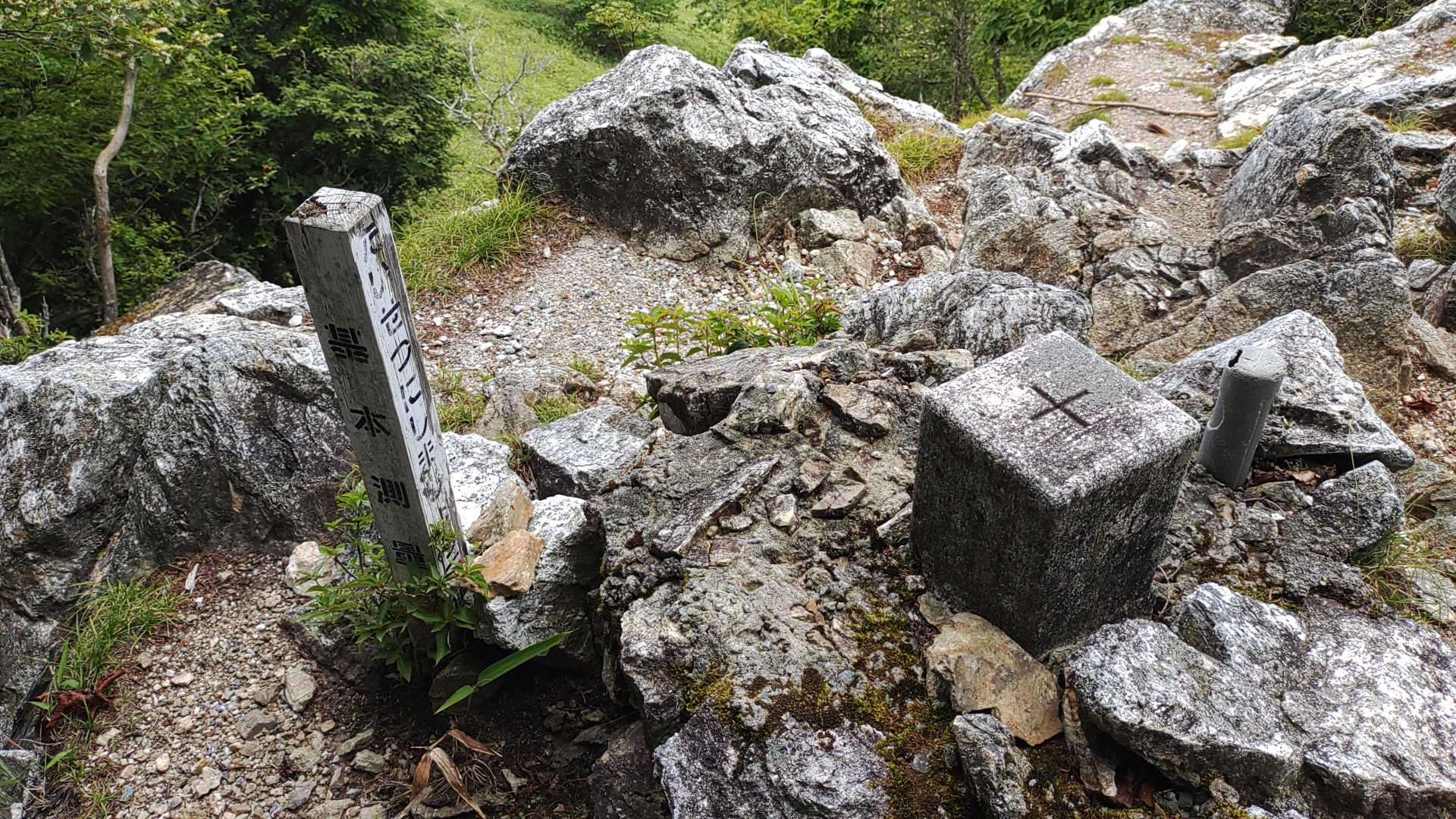 御池山の三角点