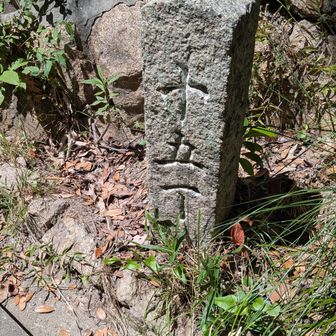 もう何十回と登ってるけど
初めて見た。1丁（約109m）ふもとが1で山頂に近づくにつれて数字が増えて行くらしい。
今度他のも探して見よう。
