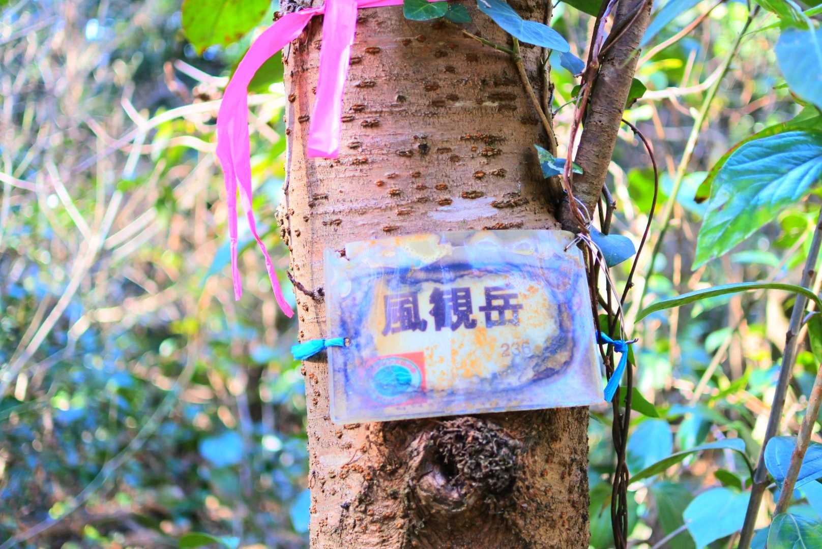 風観岳の写真