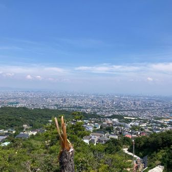 ここも眺望良かったです