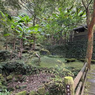 南国らしい🏝️