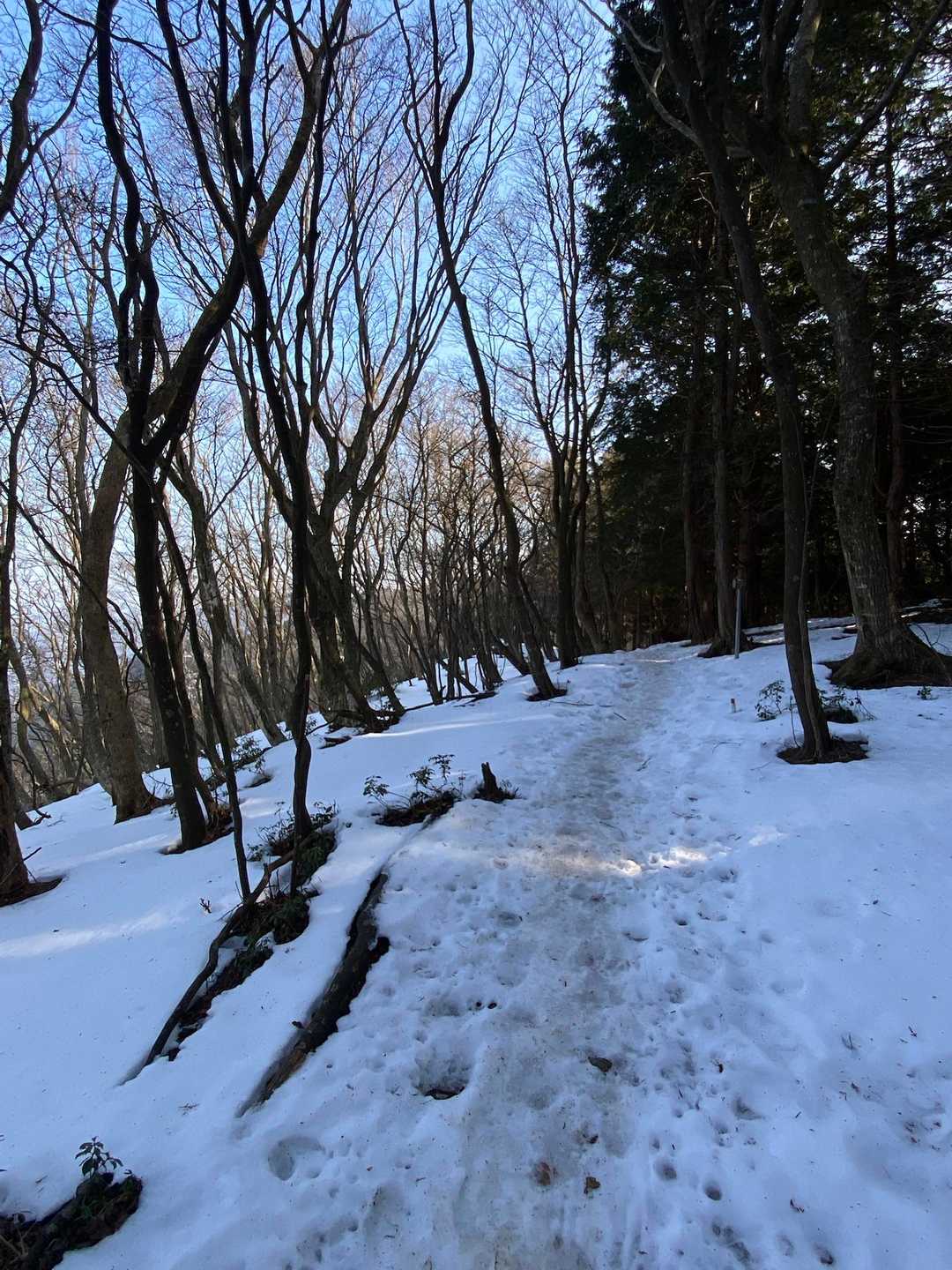 ザックザック🥾⛓️❄️