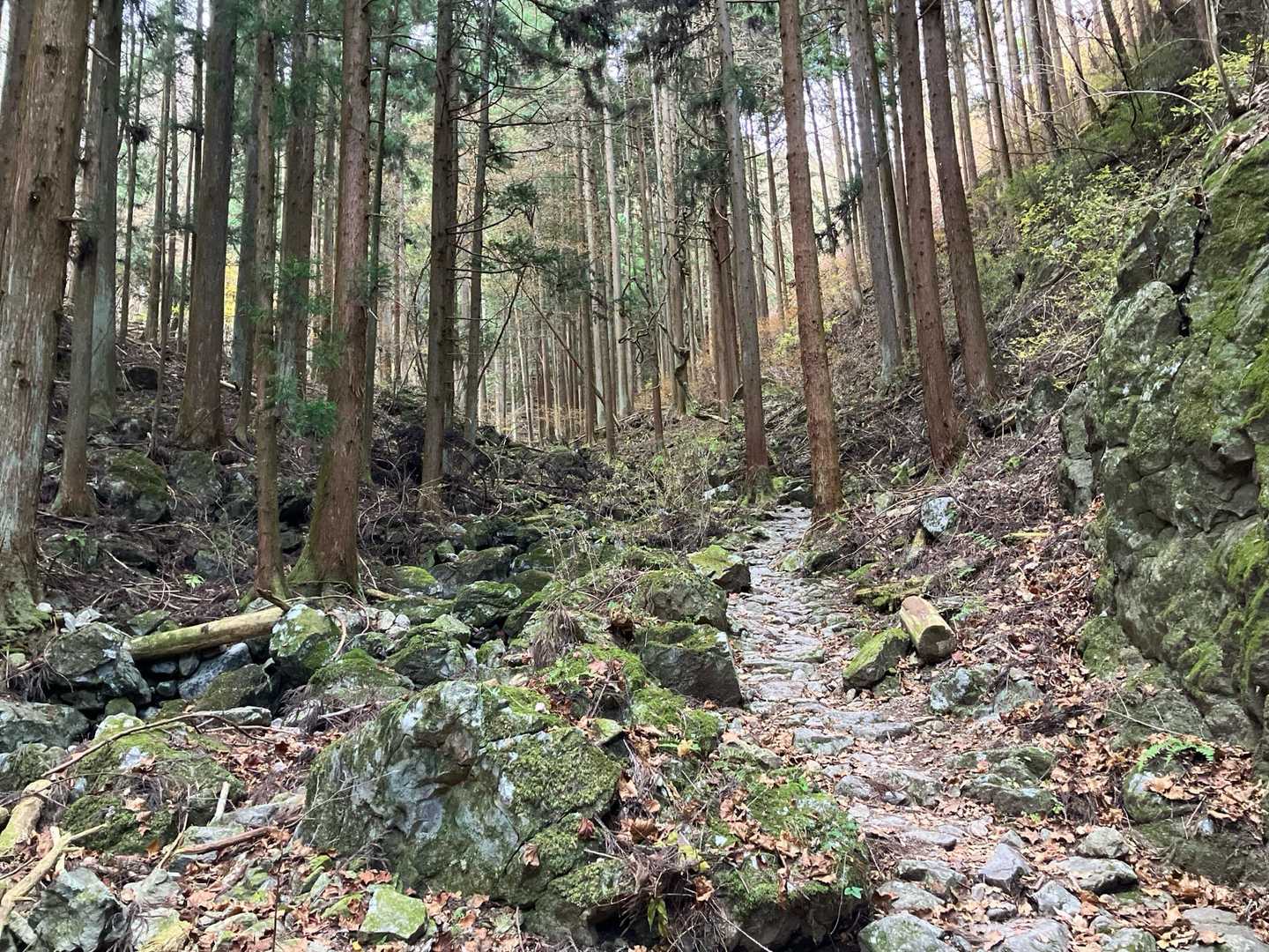 渓流沿いに進みます。