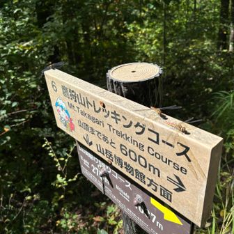 最初は、4匹とまってたんだけど…
