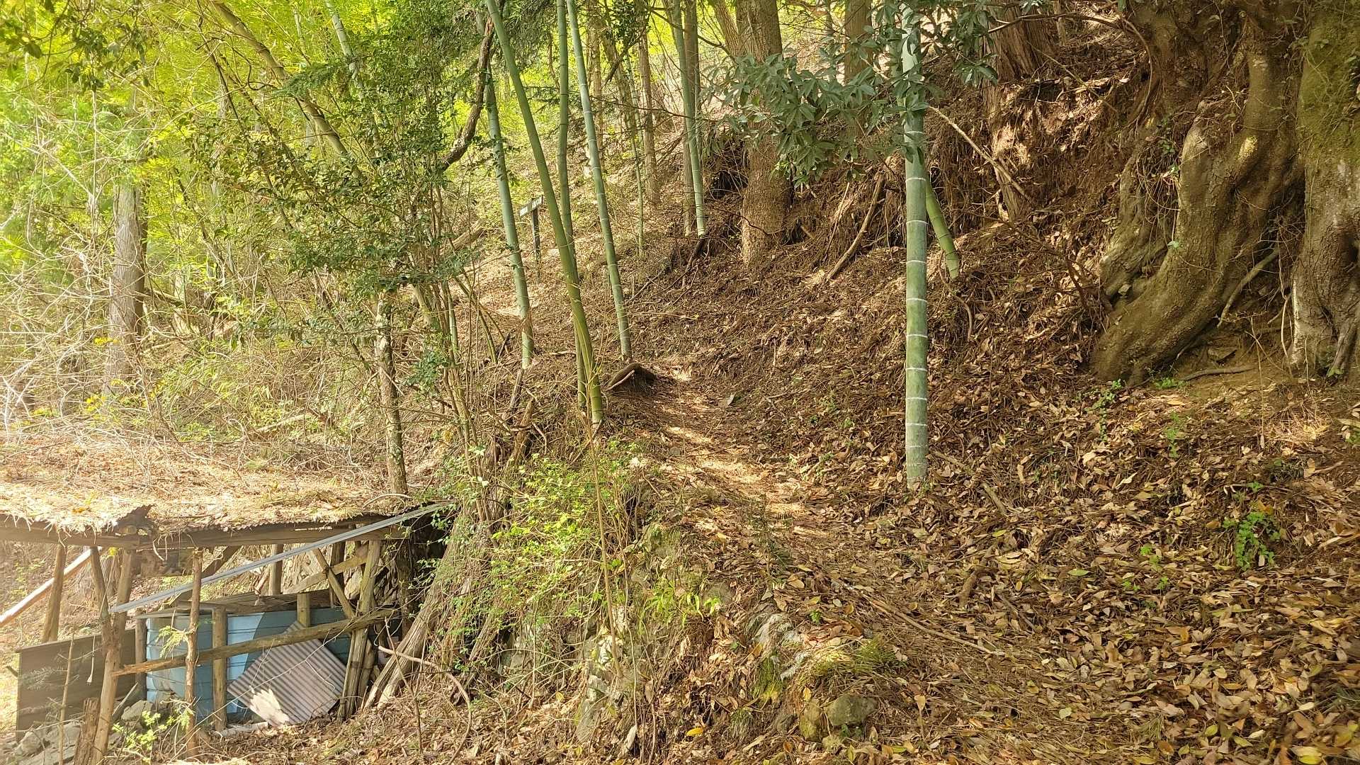 大野さんちを後にして登っていきます。
人里峠までの前半が今回のルートの核心です。なかなかの急登。
でも後半は緩やかになります。