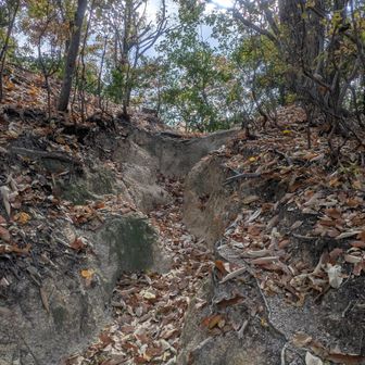 目的その１ー２
中山山頂のハキハキ🧹