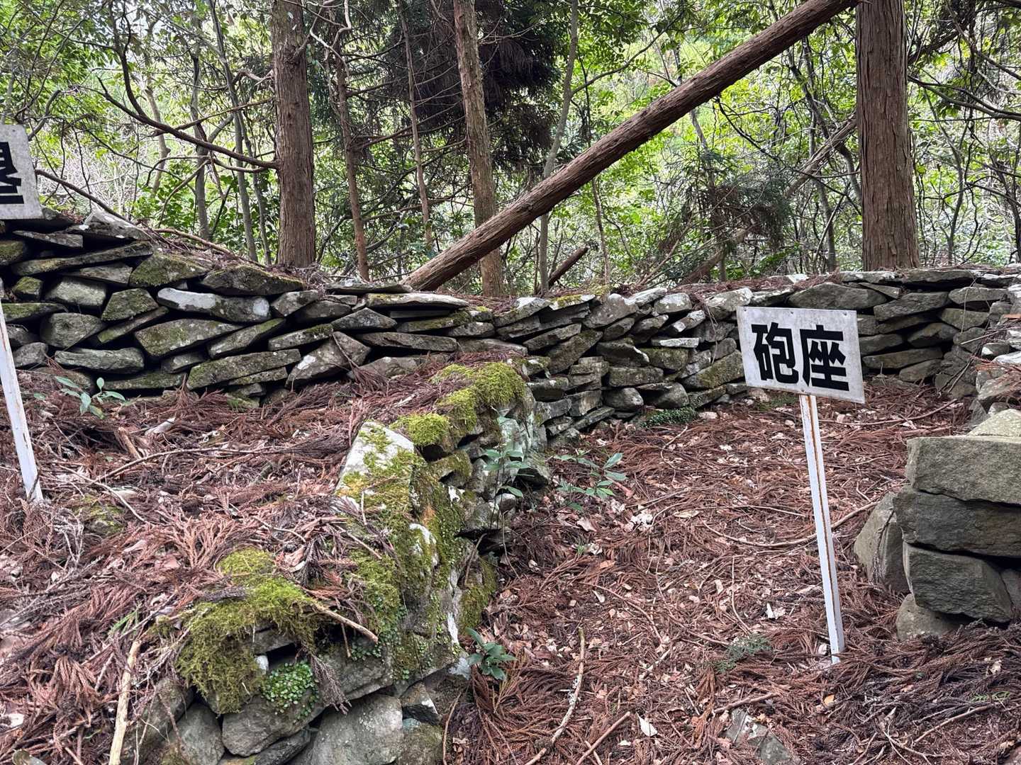 扇山 往復コースの写真