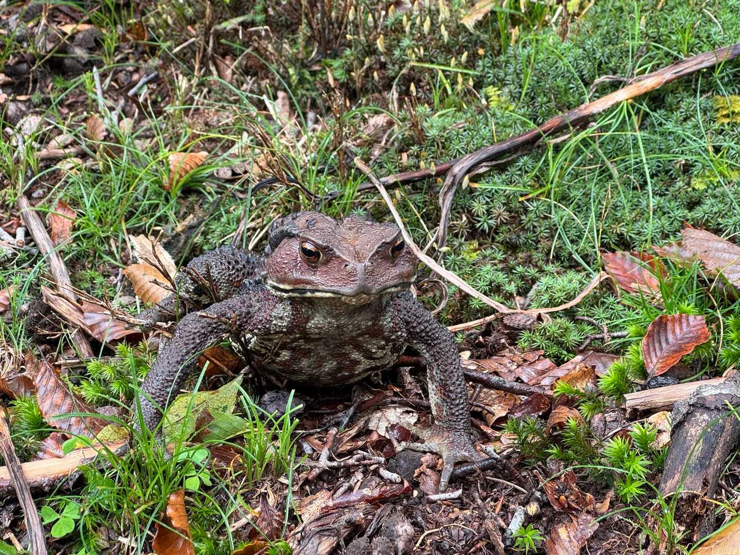おっと！
男前の兄さん。