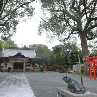 天疫神社
高杯山
YAMAP1556座目