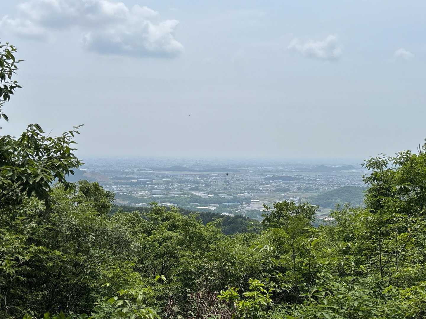 向山 往復コースの写真