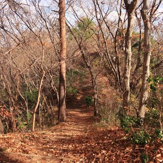 この突き当たりの大岩2個が絹谷小富士らしい