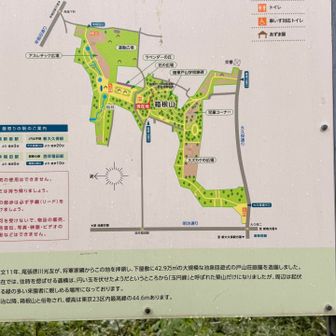 江戸時代には尾張徳川家の下屋敷「戸山荘」が広がり、明治以降は陸軍戸山学校が置かれた歴史ある地
現在は戸山公園として親しまれています
